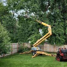 Best Lawn Mowing  in Dillonvale, OH
